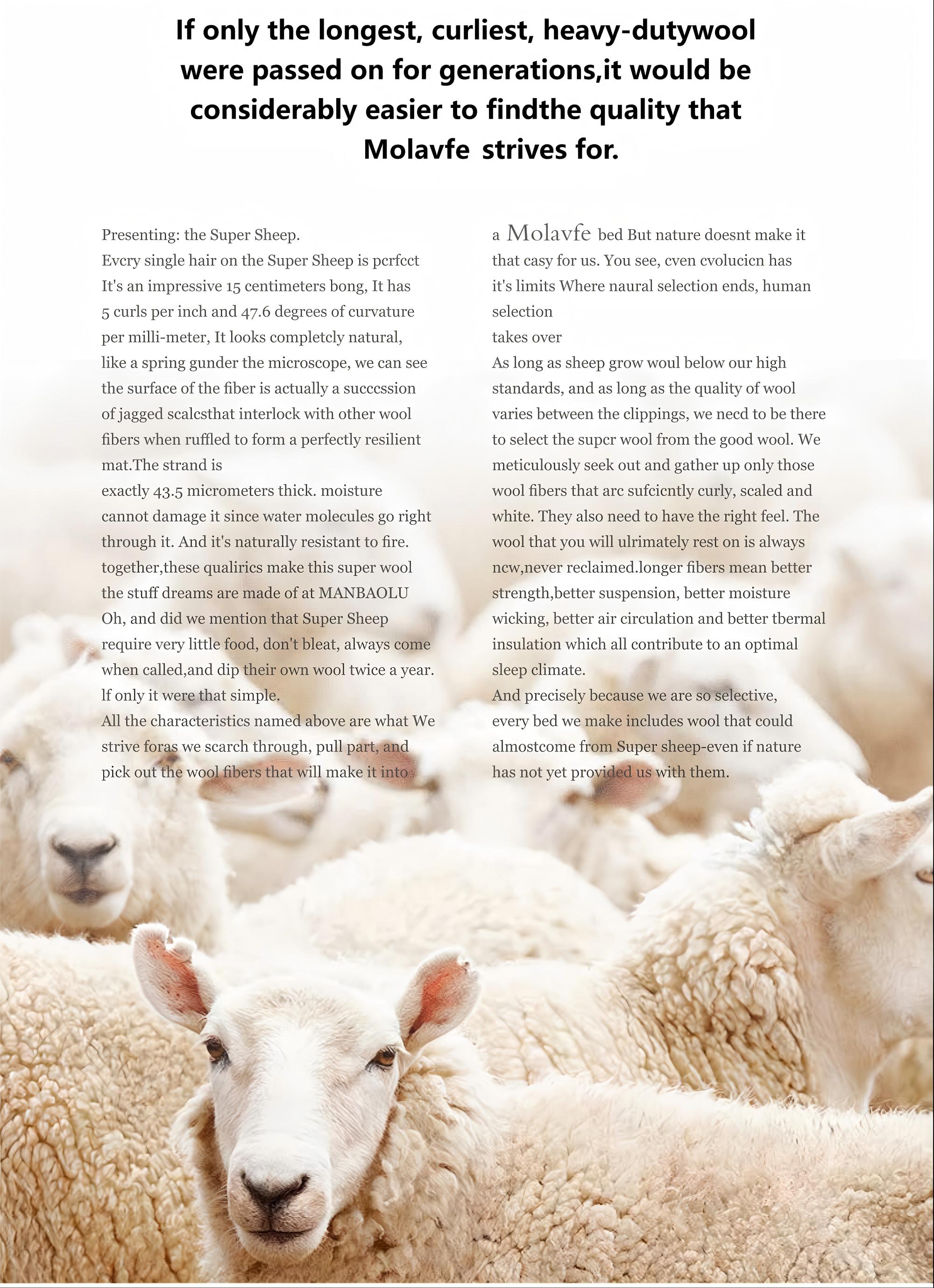 If only the longest, curliest, heavy-dutywool were passed on for generations, it would be considerably easier to findthe quality that Monlavfe striver for.